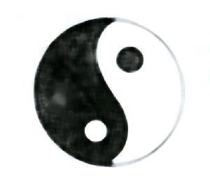 少しノイズの乗った太極図